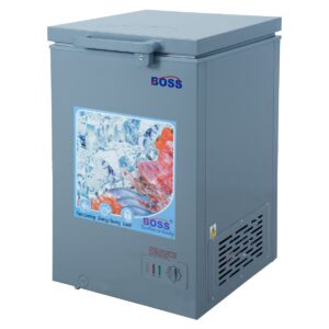 Boss Freezer 100L-BE100 SS
